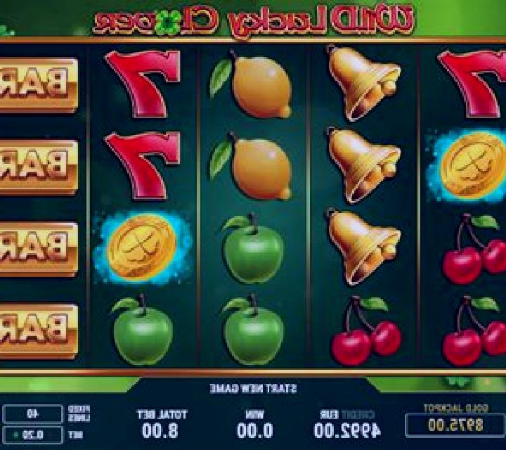 Wild Lucky Chance slot game
