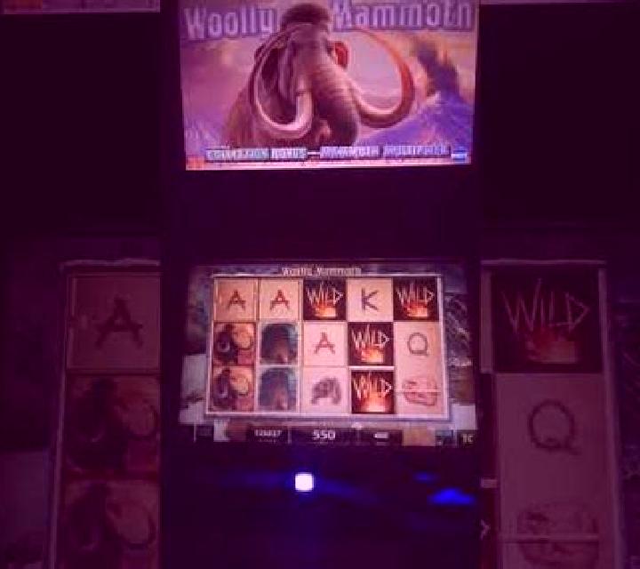 Wild Mammoth slot machine