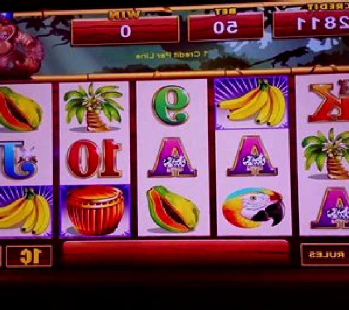 Wild Monkey slot