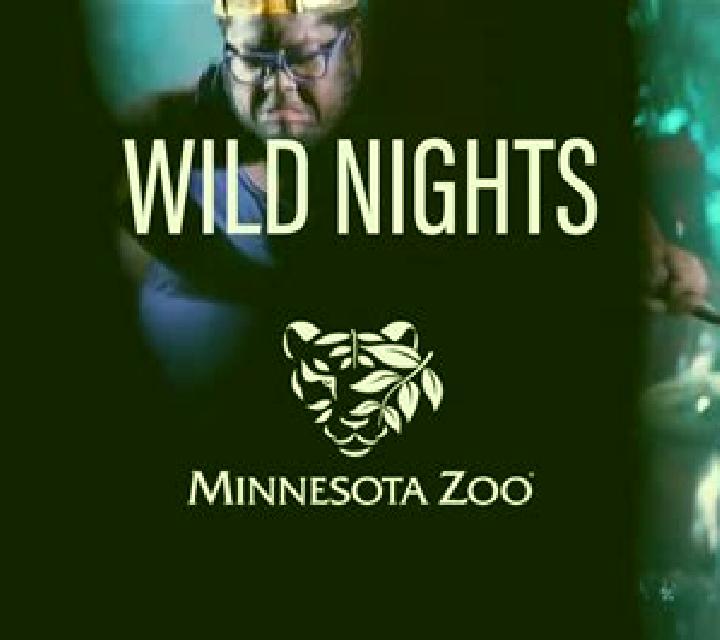 Wild Nights online slot