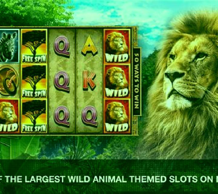 Wild Nights slot machine
