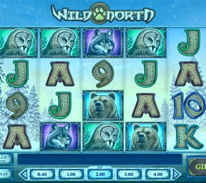 Wild North (Play’n Go) slot game