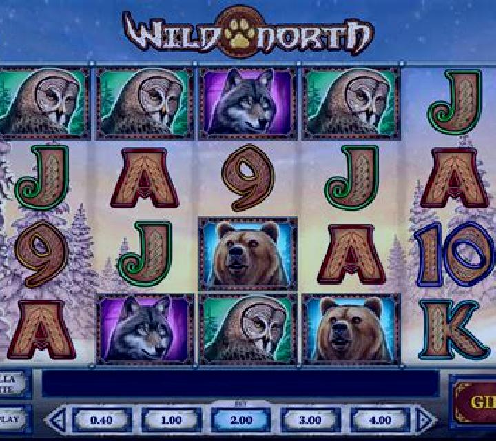 Wild North (Play’n Go) slot machine