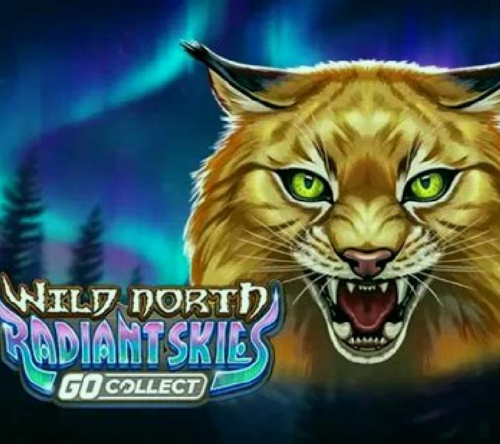 Wild North Radiant Skies slot game