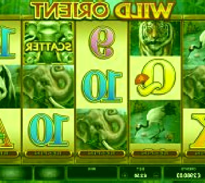 Wild Orient slot machine