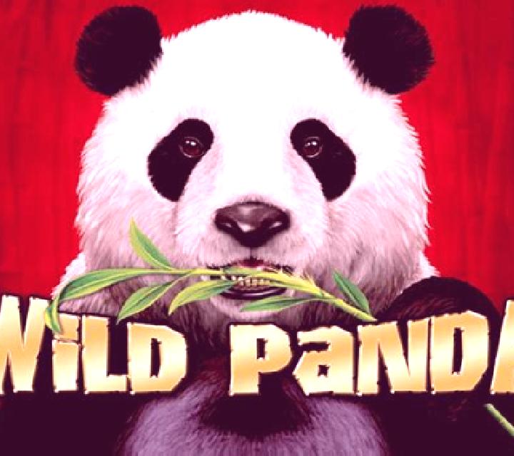 Wild Panda (Aristocrat) slot game