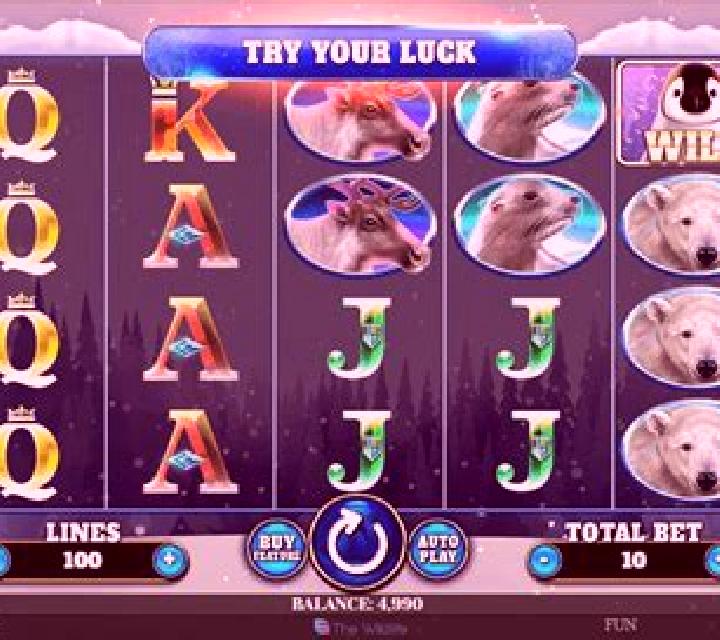 Wild Penguin slot
