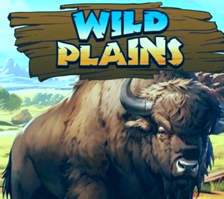 Wild Plains slot game