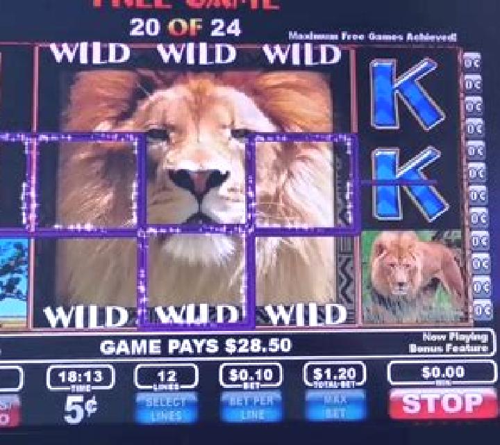 Wild Pride slot game