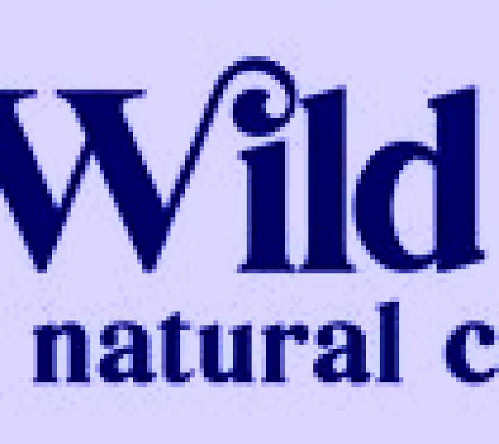 Wild Rain online slot