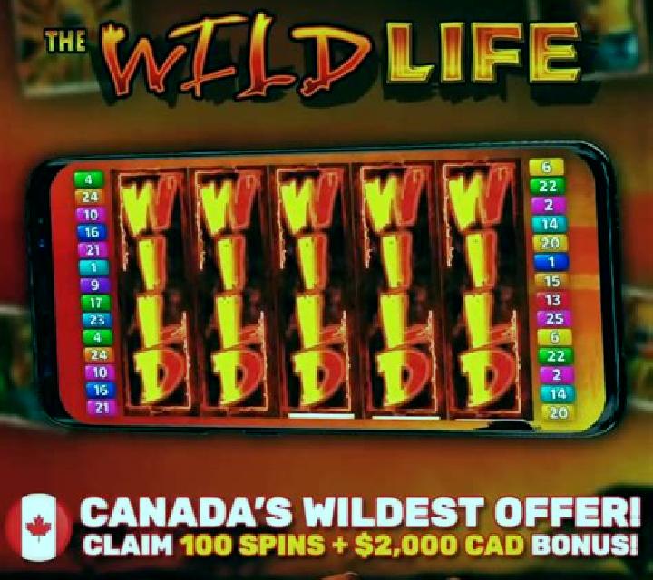 Wild Reels online slot