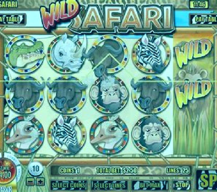 Wild Safari (Rival) slot machine