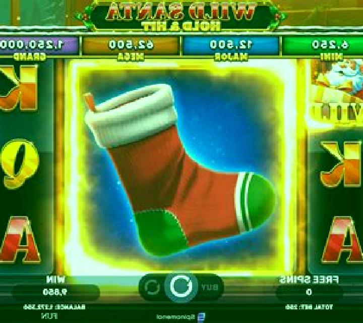 Wild Santa slot machine