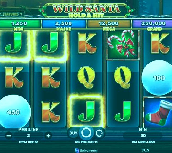 Wild Santa slot