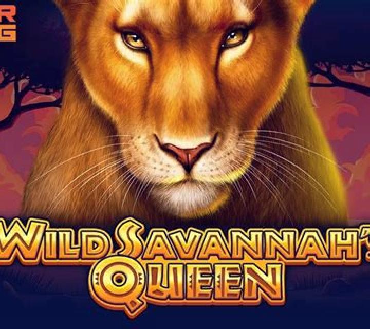 Wild Savannah s Queen slot machine