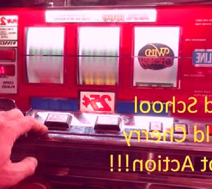 Wild School online slot