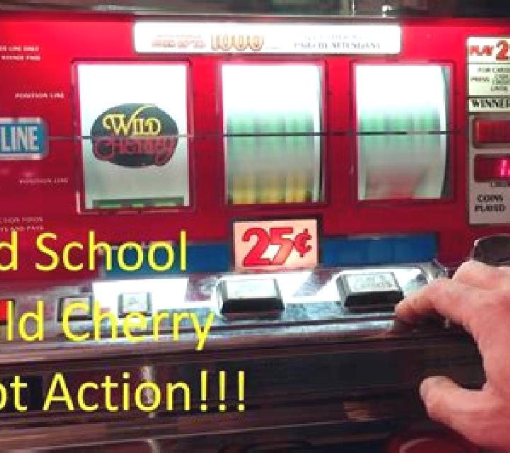 Wild School slot game