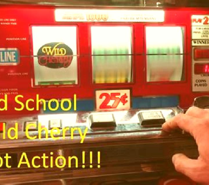 Wild School slot machine