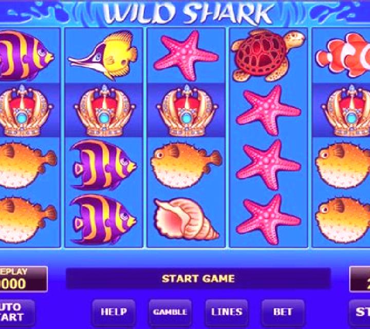 Wild Shark slot game