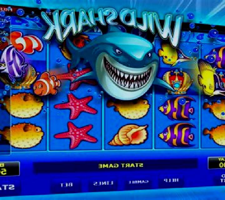 Wild Shark slot machine