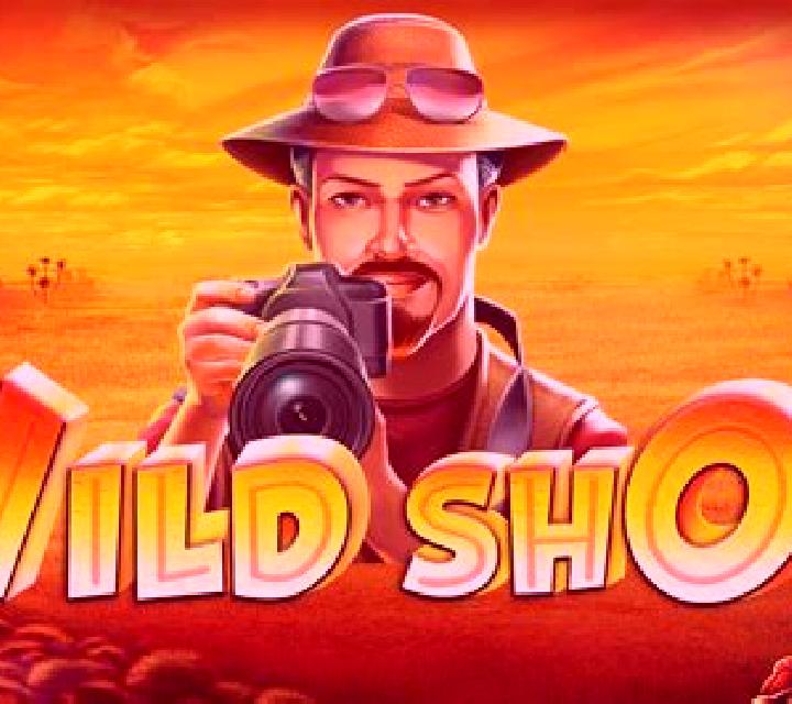 Wild Shot (R. Franco) online slot