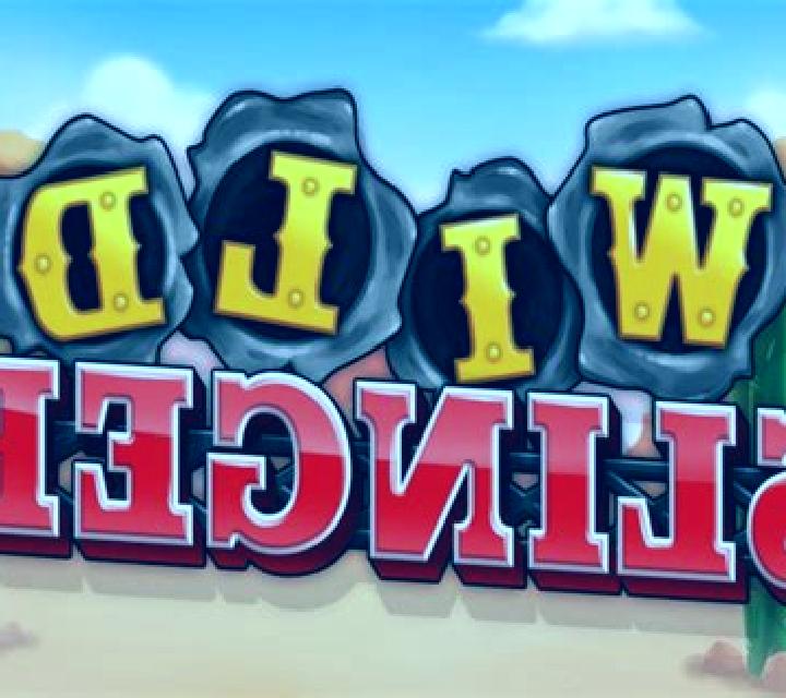 Wild Slinger slot game