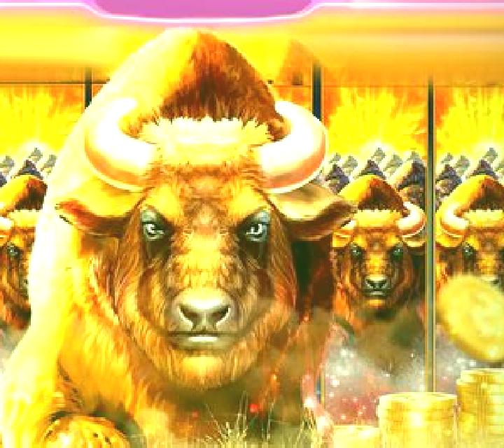 Wild slot