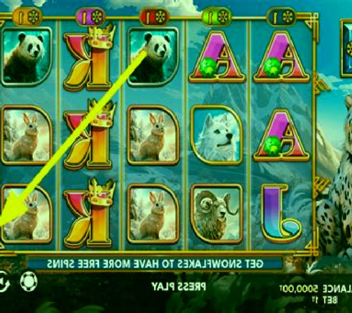 Wild Snow Spin slot