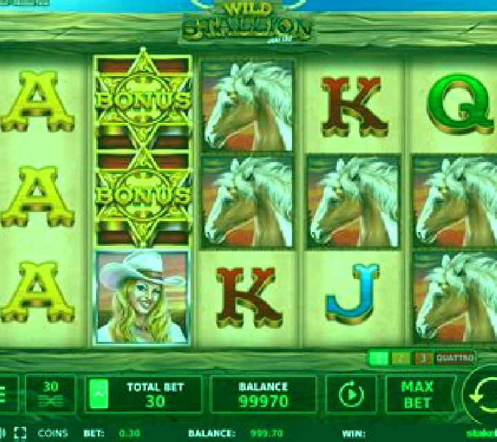 Wild Stallion slot