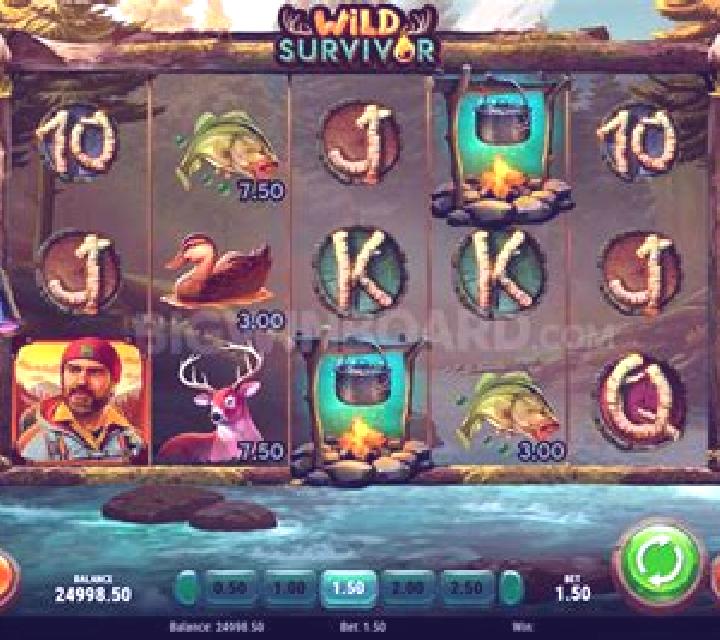 Wild Survivor slot