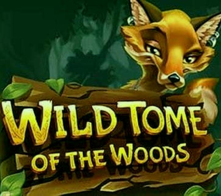 Wild Tome of the Woods slot game