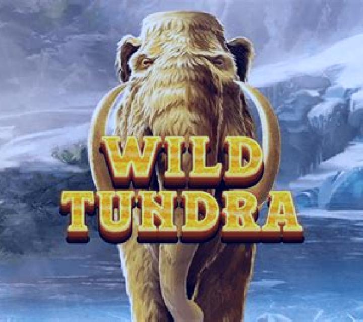 Wild Tundra slot