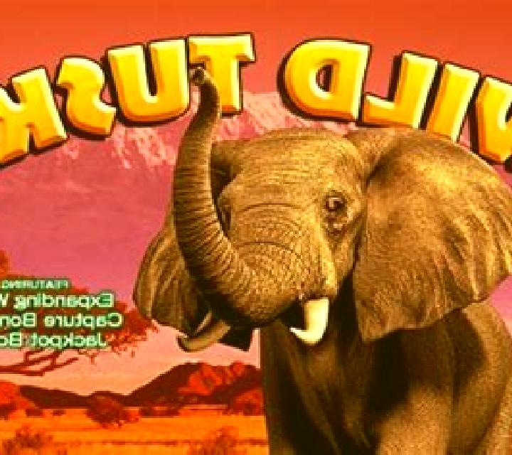 Wild Tusks online slot