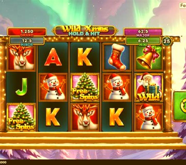 Wild Valentines Xmas slot game