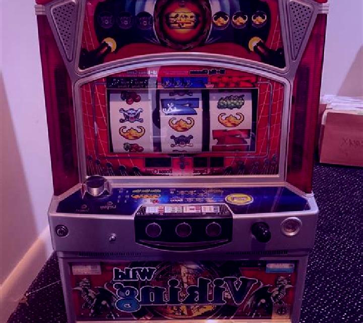 Wild Viking slot machine