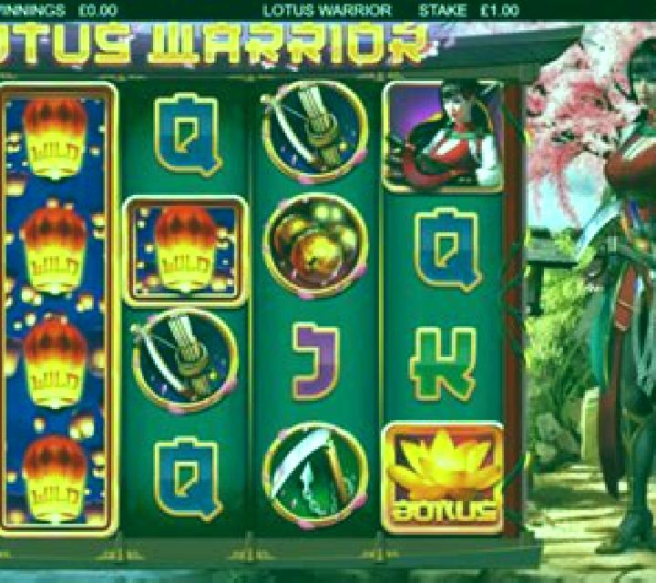 Wild Warrior slot machine