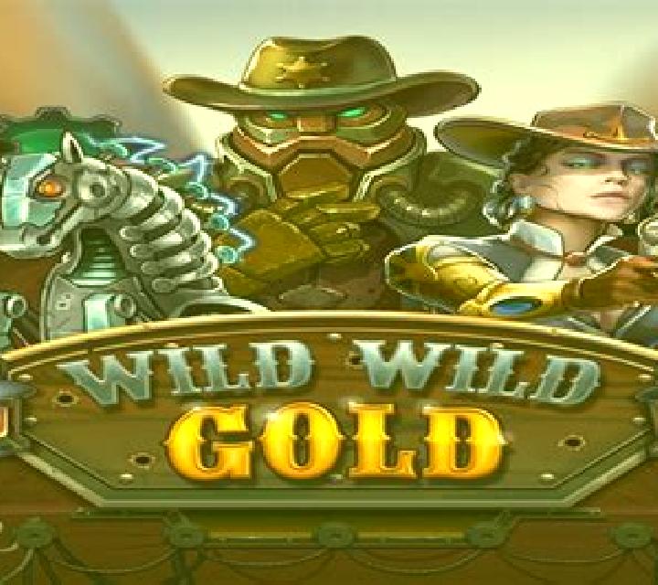 Wild Wild Bank online slot