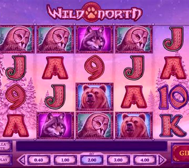 Wild Wild North slot machine