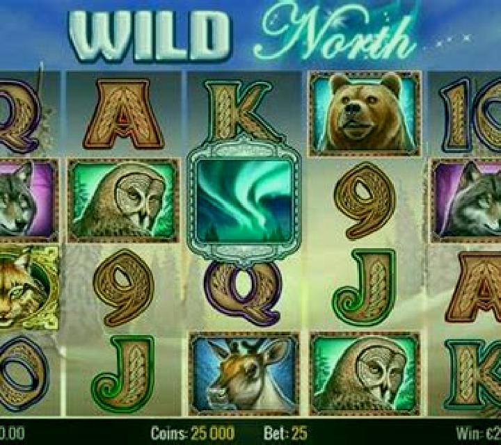 Wild Wild North slot