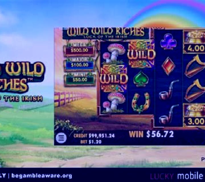 Wild Wild Riches slot game