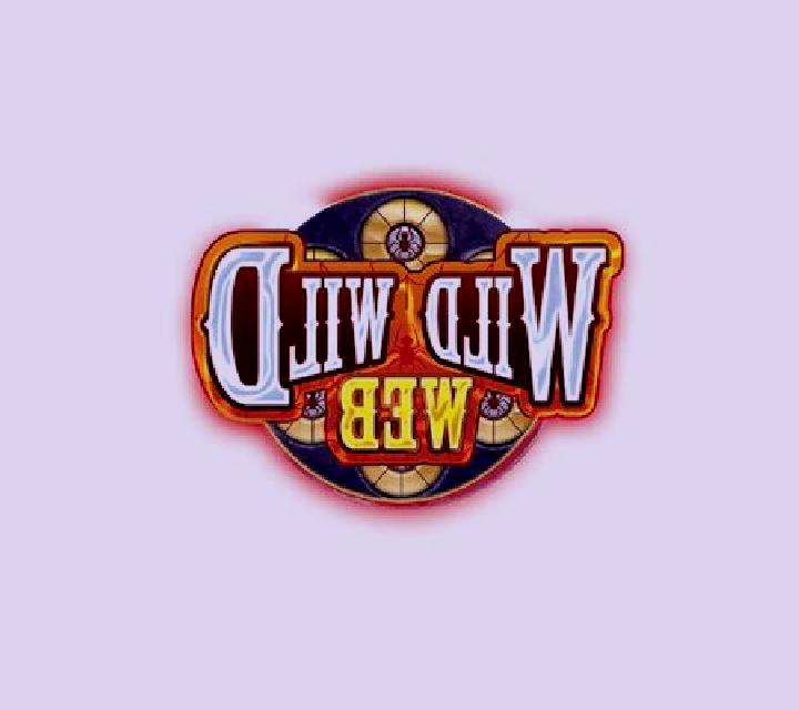 Wild Wild Web slot game