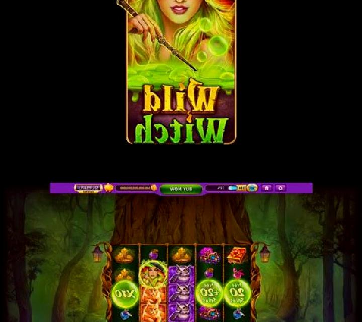 Wild Wild Witch slot game