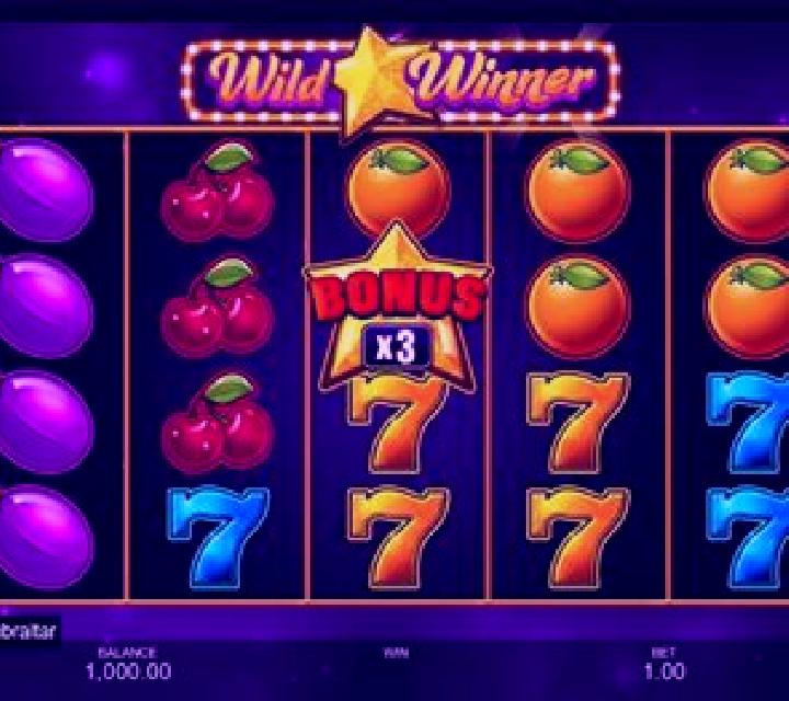 Wild Winner online slot