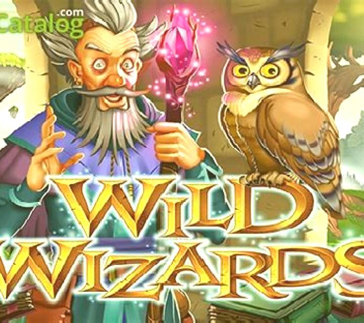 Wild Wizards (RTG) slot