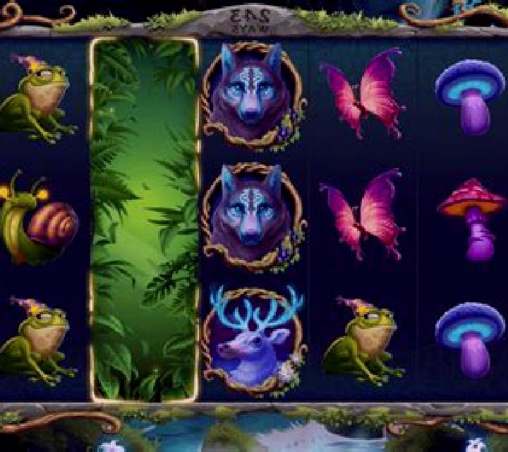 Wild Wonderful Fairy slot game