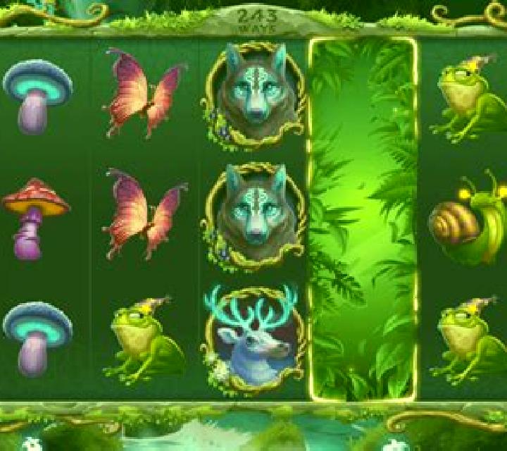 Wild Wonderful Fairy slot