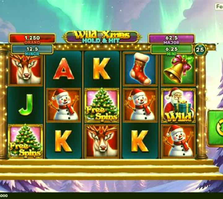 Wild Xmas Hold & Hit slot