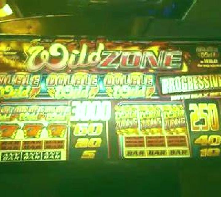 Wild Zone slot game