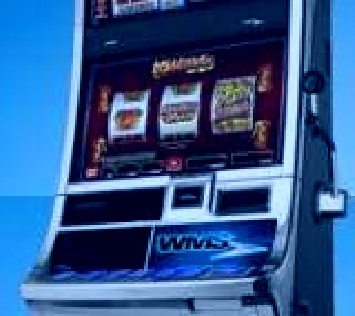 Wild Zone slot machine