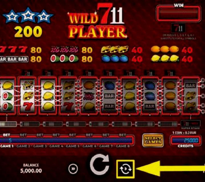 Wild711Player slot